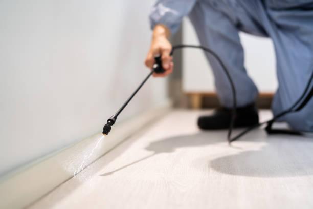 Best Pest Removal Services  in Veedersburg, IN