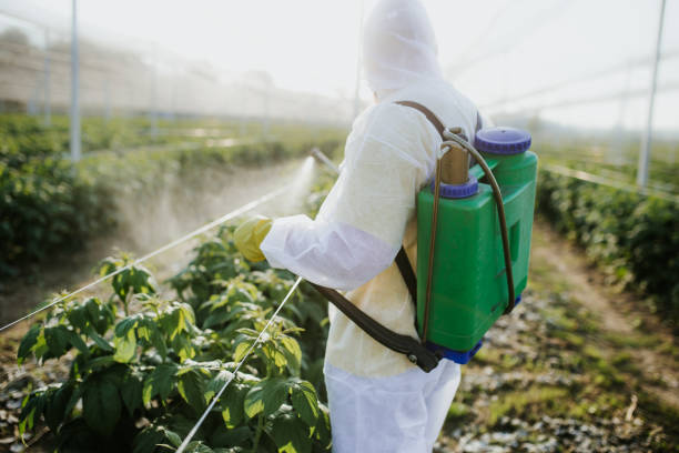 Wildlife Control Services in Veedersburg, IN